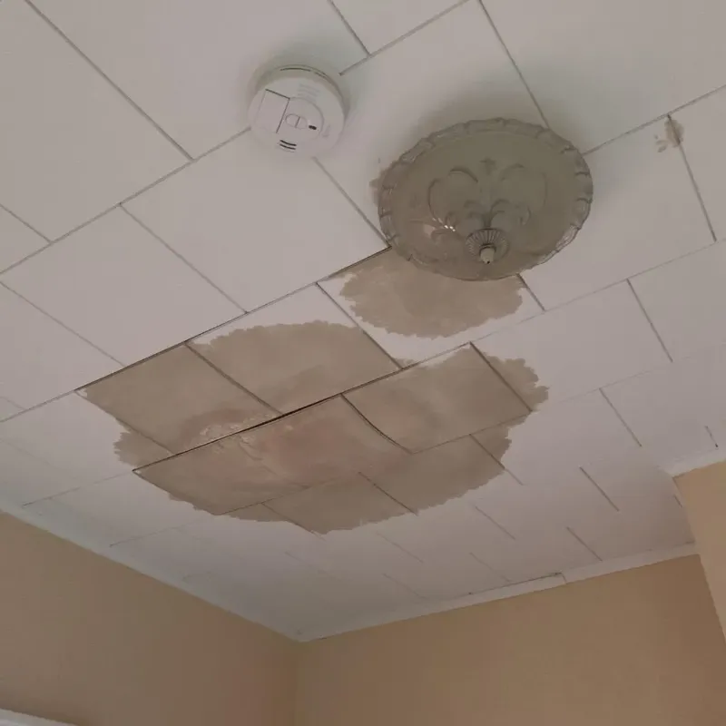 Ceiling Water Damage Repair in Crest Hill, IL