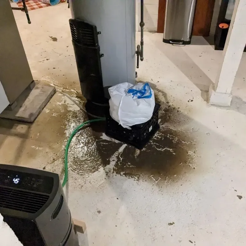 Sewage Backup Cleanup Service in Crest Hill, IL